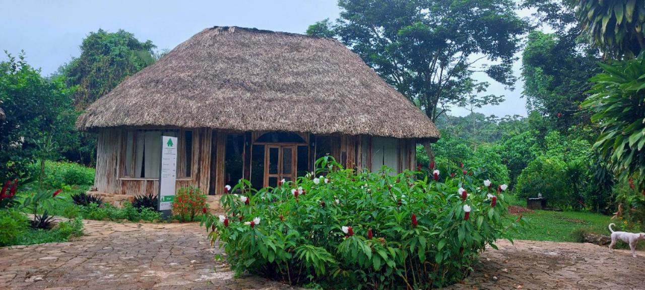Eco Hotel Sak Nok Lacanja Ngoại thất bức ảnh